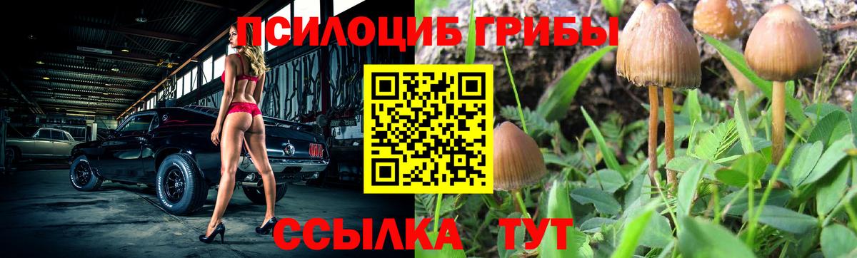 Галлюциногенные грибы ЛСД Тихорецк